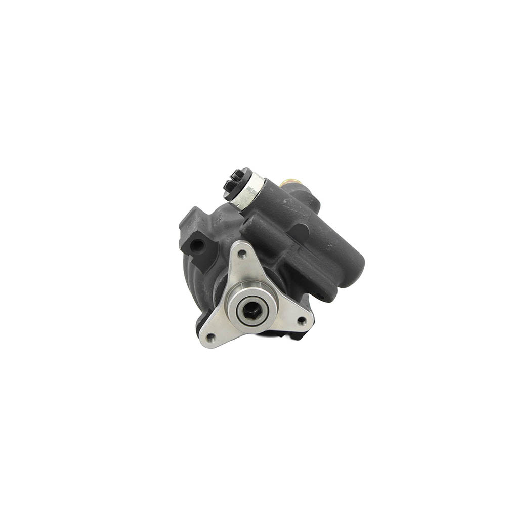 Bomba de direccion Renault Symbol 1.6 Polea desmontable