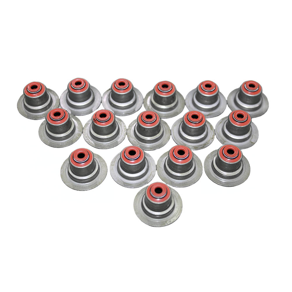 Reten valvula Renault Symbol 1.6 Juego de 16 piezas 5.5mm