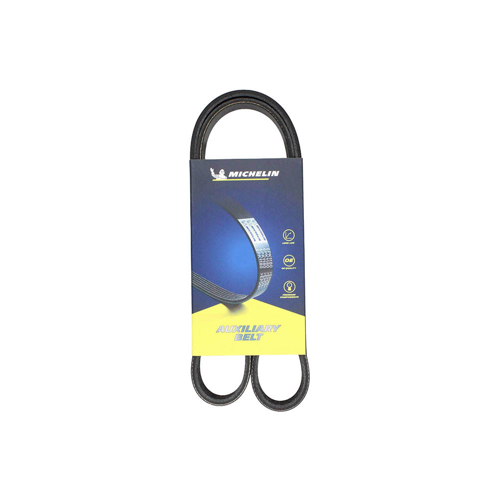 Correa accesorios Ford Focus 1.6 Elastica