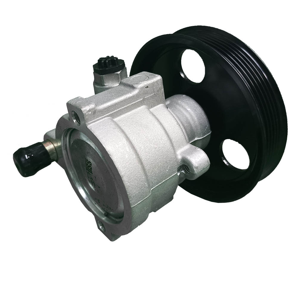 Bomba de direccion Renault Kangoo 1.9 Polea fija